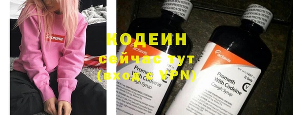 дурь Арсеньев