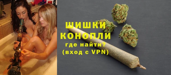 молекула духа Покровск