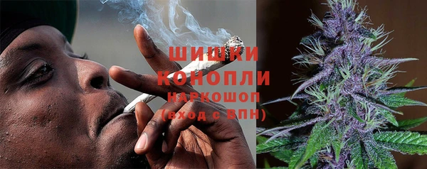 сатива Армянск