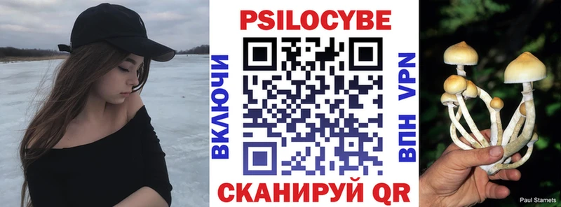 Псилоцибиновые грибы GOLDEN TEACHER Печора